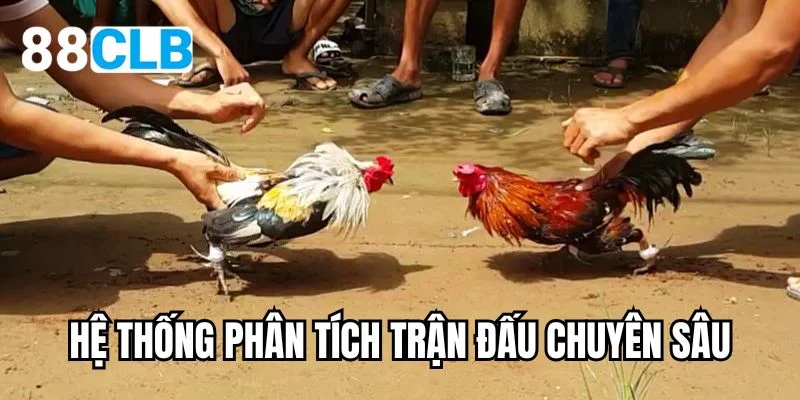 Hệ thống phân tích trận đấu chuyên sâu