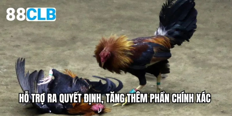 Hỗ trợ ra quyết định, tăng thêm phần chính xác