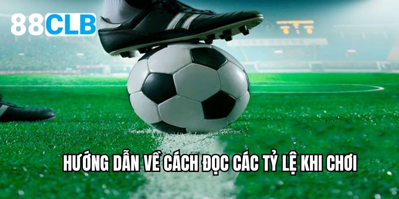 Hướng dẫn về cách đọc các tỷ lệ khi chơi