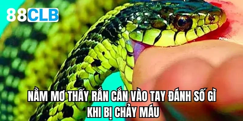 Nằm mơ thấy rắn cắn vào tay đánh số gì khi bị chảy máu