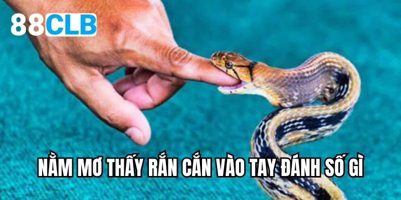 nằm mơ thấy rắn cắn vào tay đánh số gì