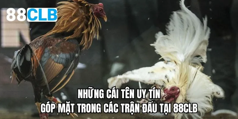 Những cái tên uy tín góp mặt trong các trận đấu tại 88CLB