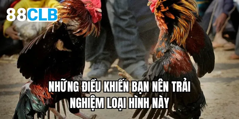Những điều khiến bạn nên trải nghiệm loại hình này