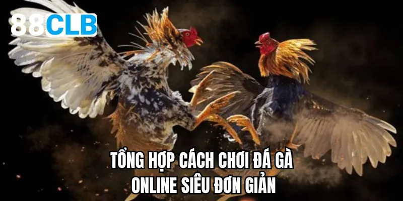 Tổng hợp cách chơi đá gà online siêu đơn giản