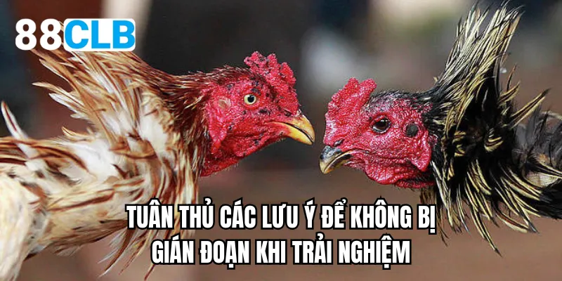 Tuân thủ các lưu ý để không bị gián đoạn khi trải nghiệm