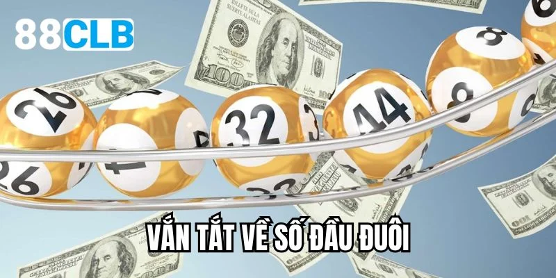 Vắn tắt về số đầu đâu