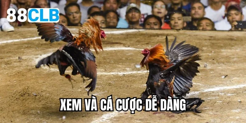 Xem và cá cược dễ dàng