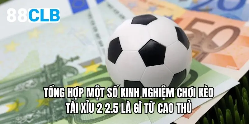 Tổng hợp một số kinh nghiệm chơi kèo tài xỉu 2 2.5 là gì từ cao thủ