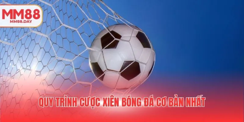 quy-trinh-cuoc-xien-bong-da-co-ban-nhat